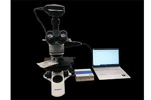 拉曼光譜技術及其在藥物分析中的應用