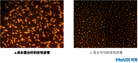 熒光顯微鏡在改性瀝青研究中的應用
