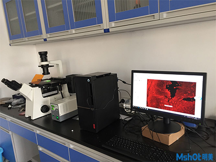 倒置熒光顯微鏡助力中國物理研究所材料檢測