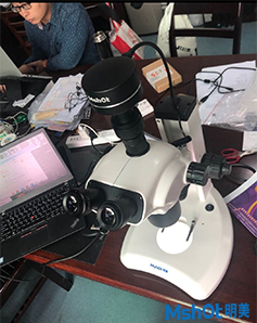 看植物花粉，葉尖等形貌用什么顯微鏡及CCD相機
