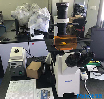 明美倒置熒光顯微鏡助力華中科技大學活細胞檢測
