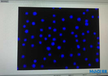 明美倒置熒光模塊應用于中科院昆明動物研究所活細胞檢測