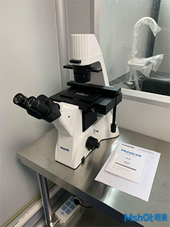 明美倒置顯微鏡應用于小鼠培養細胞