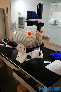 明美倒置顯微鏡用于10層細胞培養皿觀察