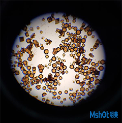 明美偏光顯微鏡應用于晶體觀察