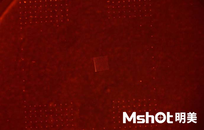 熒光劑用什么顯微鏡？