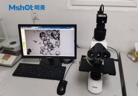 石墨烯用什么顯微鏡觀察？