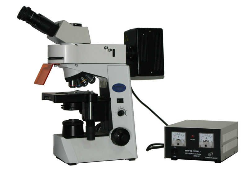 熒光顯微鏡MF41