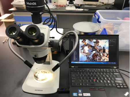 考古研究需要用到哪些光學顯微鏡呢？