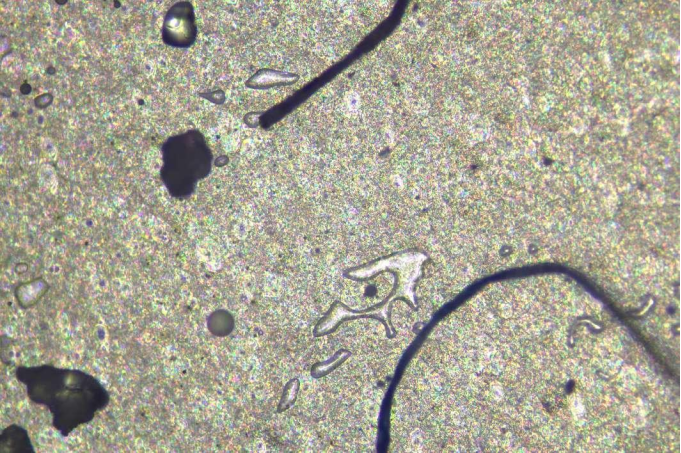 金相顯微鏡的應用于觀察二氧化硅材料